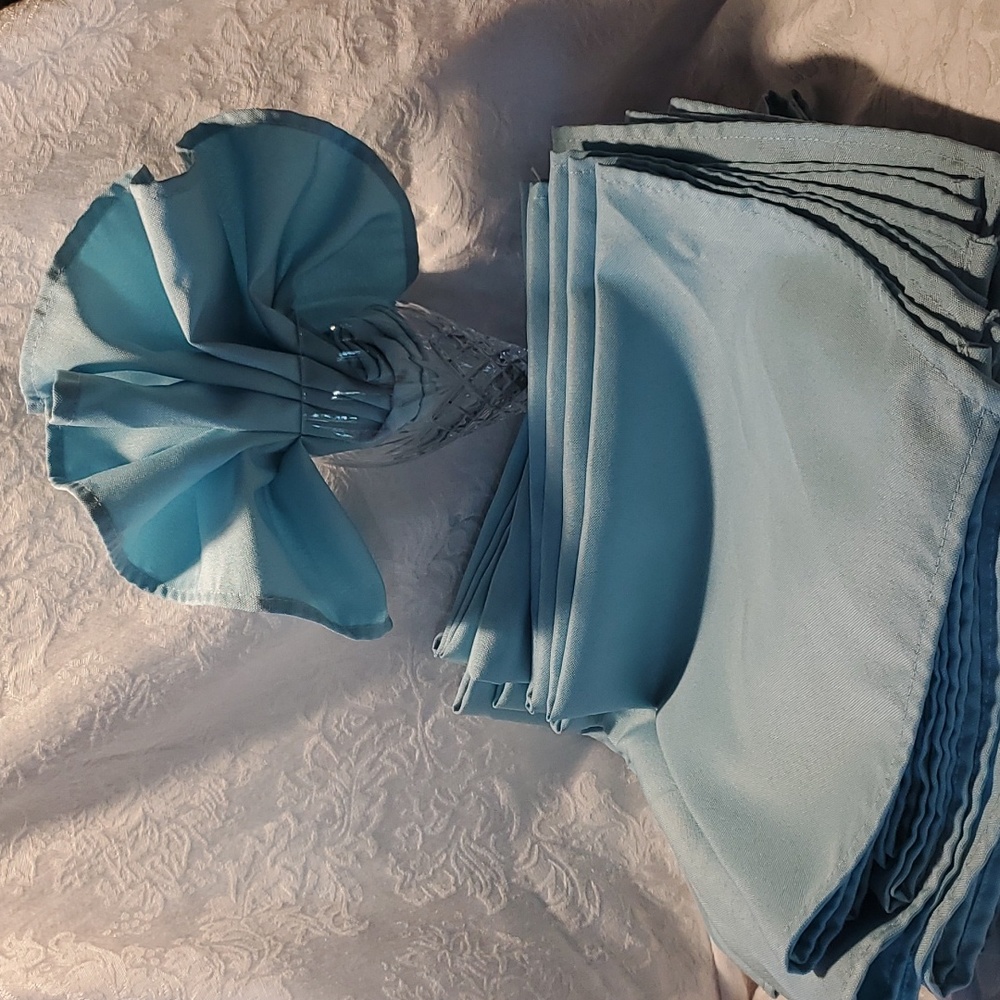 25 - Light/Sky Blue Cloth Napkins